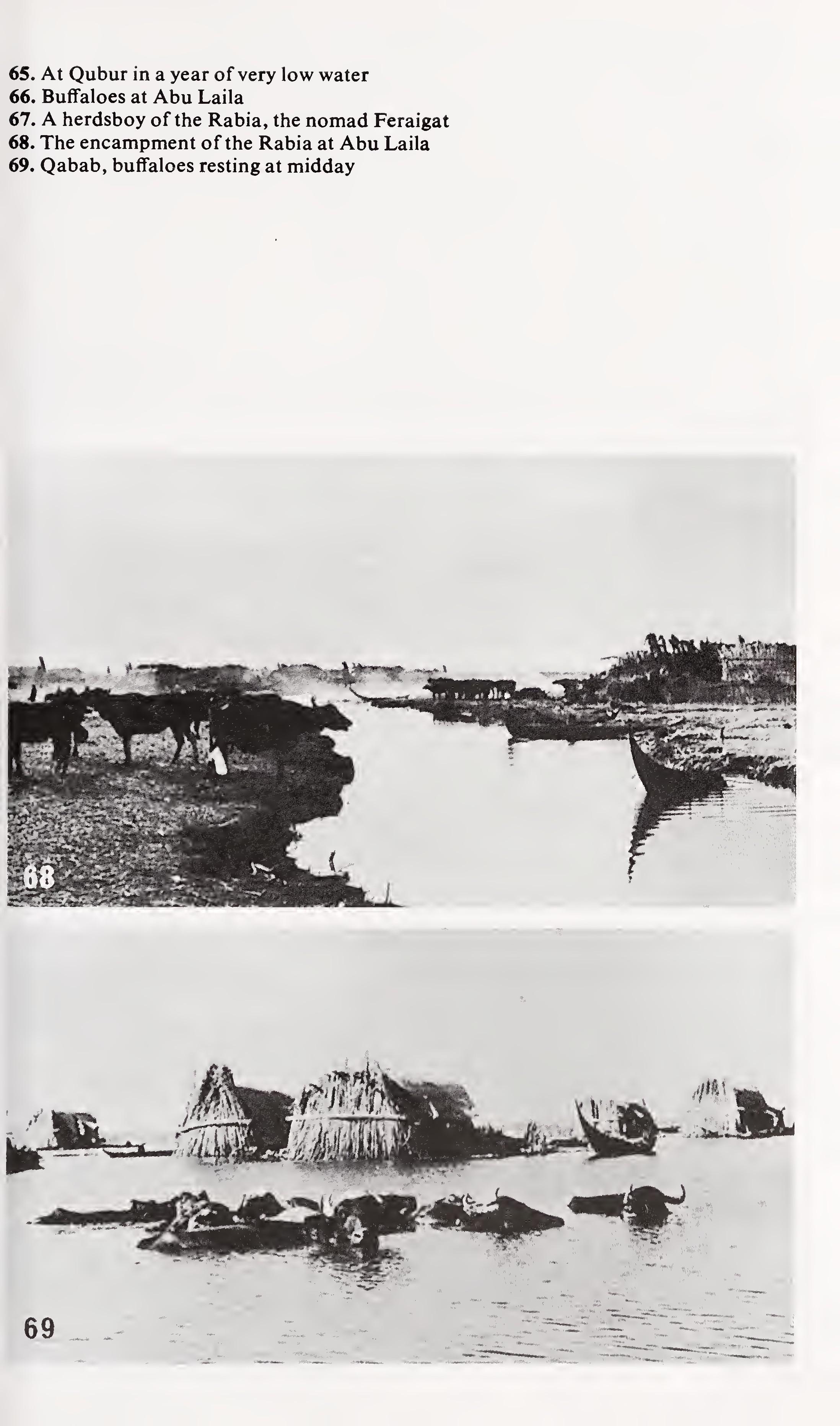 w-t-wilfred-thesiger-the-marsh-arabs-33.jpg
