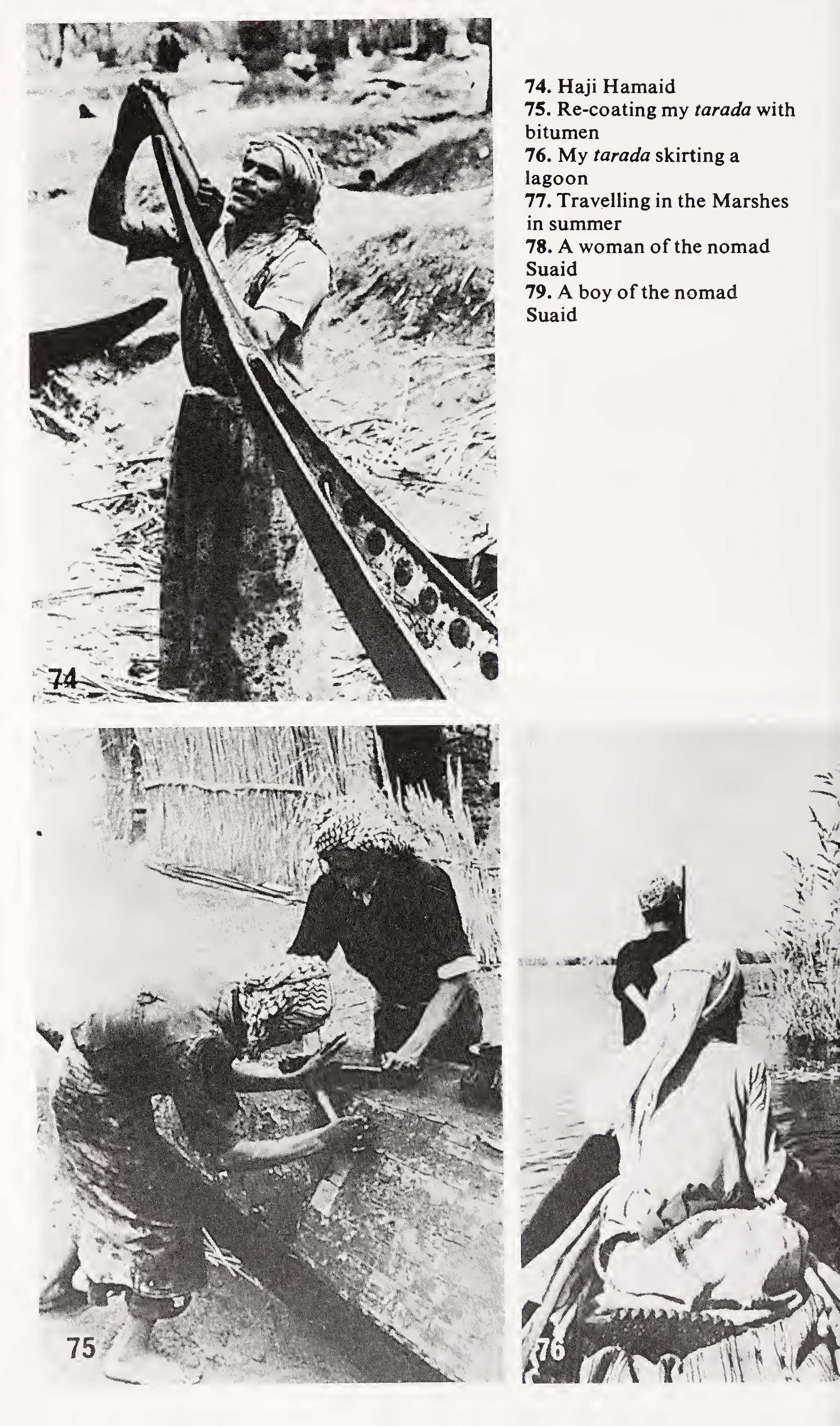 w-t-wilfred-thesiger-the-marsh-arabs-36.jpg