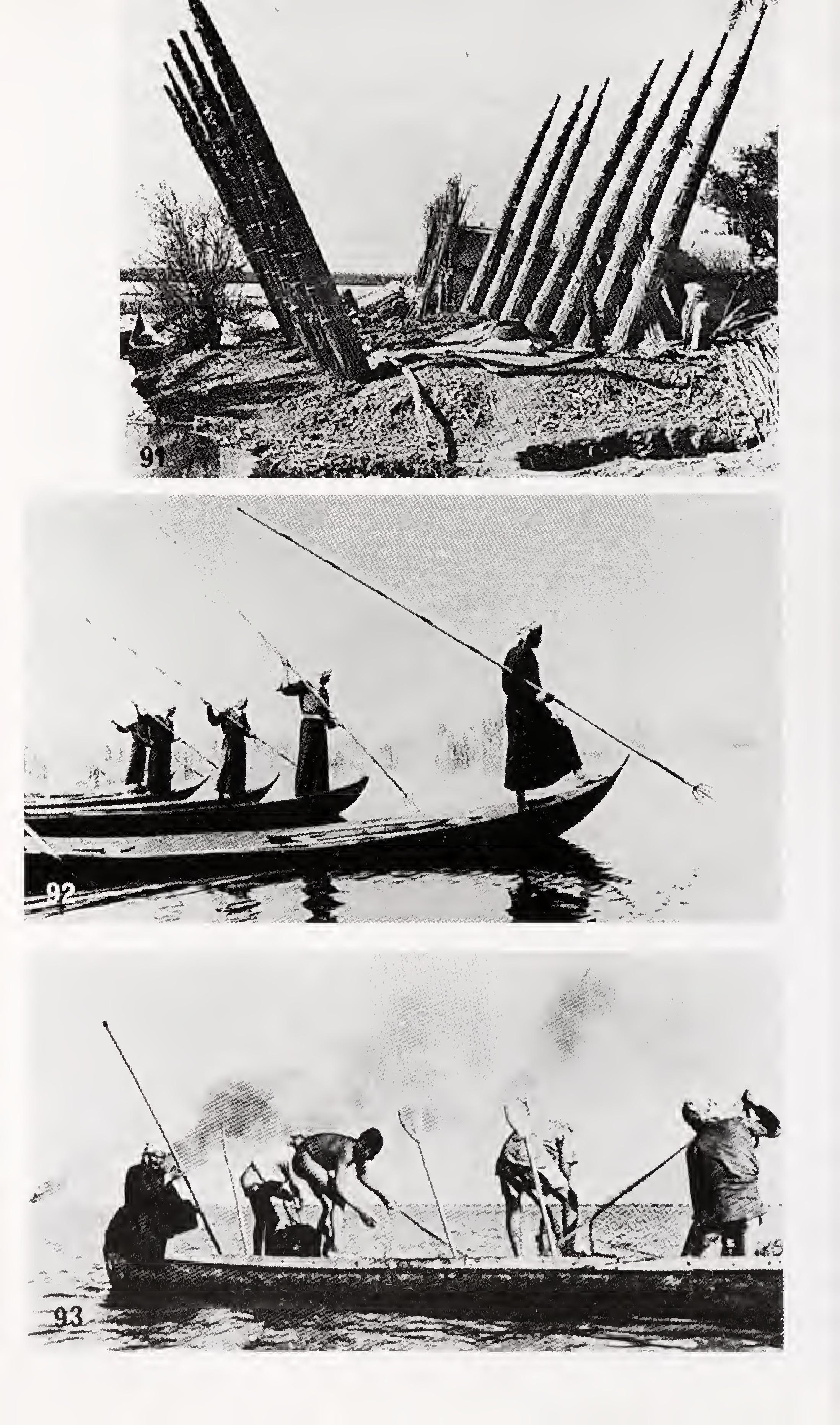w-t-wilfred-thesiger-the-marsh-arabs-44.jpg