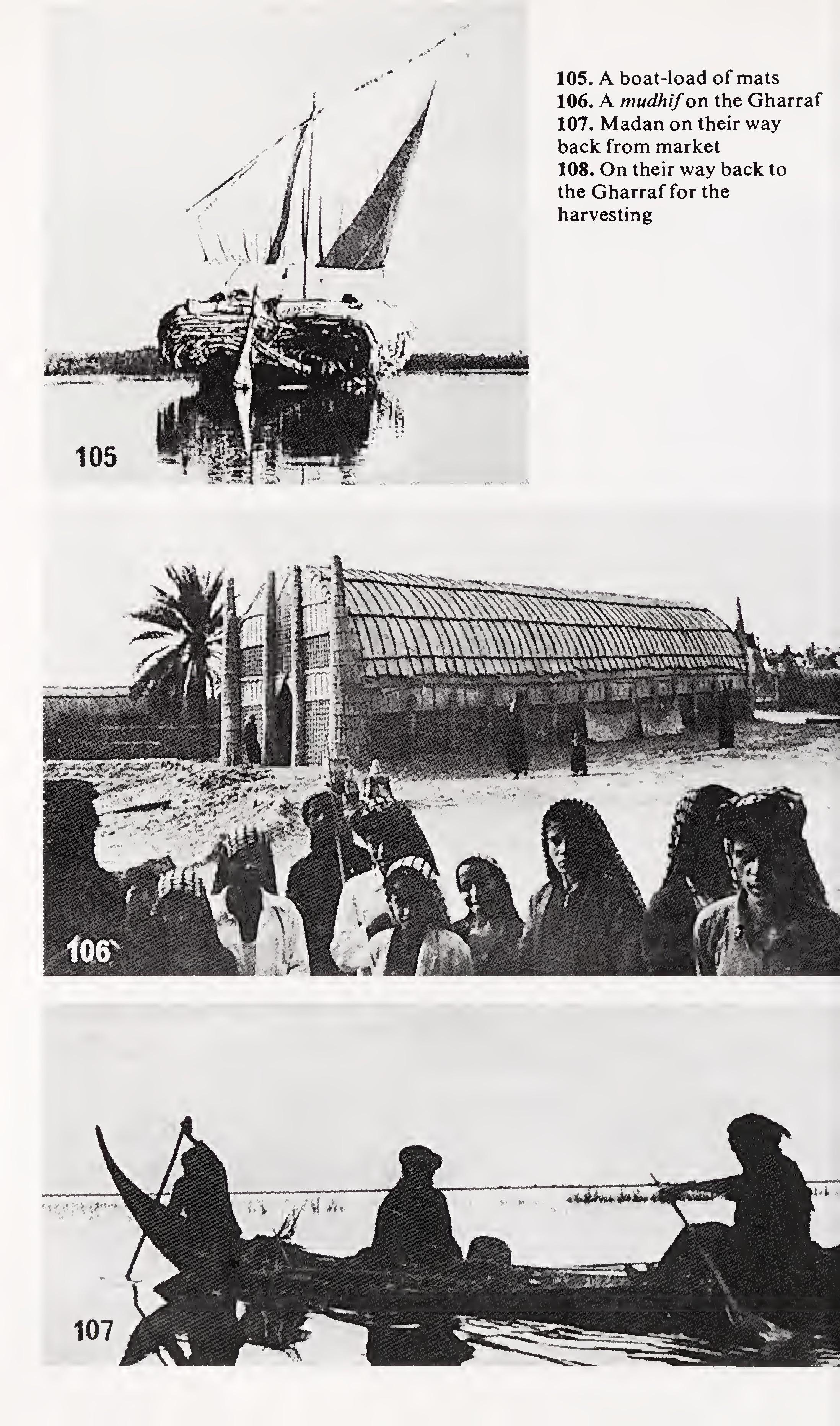 w-t-wilfred-thesiger-the-marsh-arabs-50.jpg