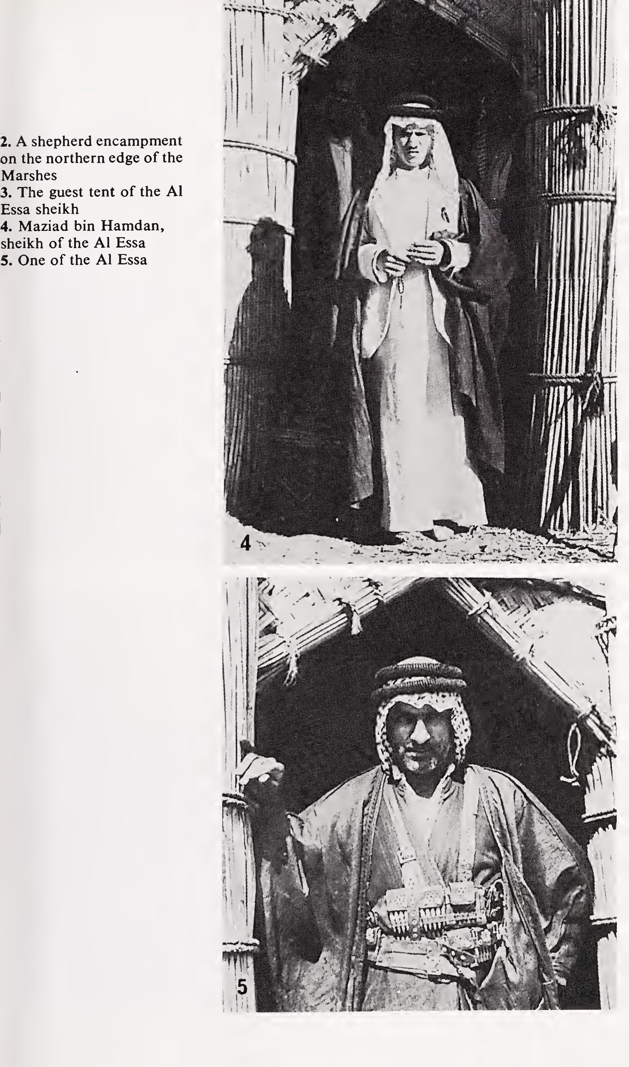 w-t-wilfred-thesiger-the-marsh-arabs-7.jpg