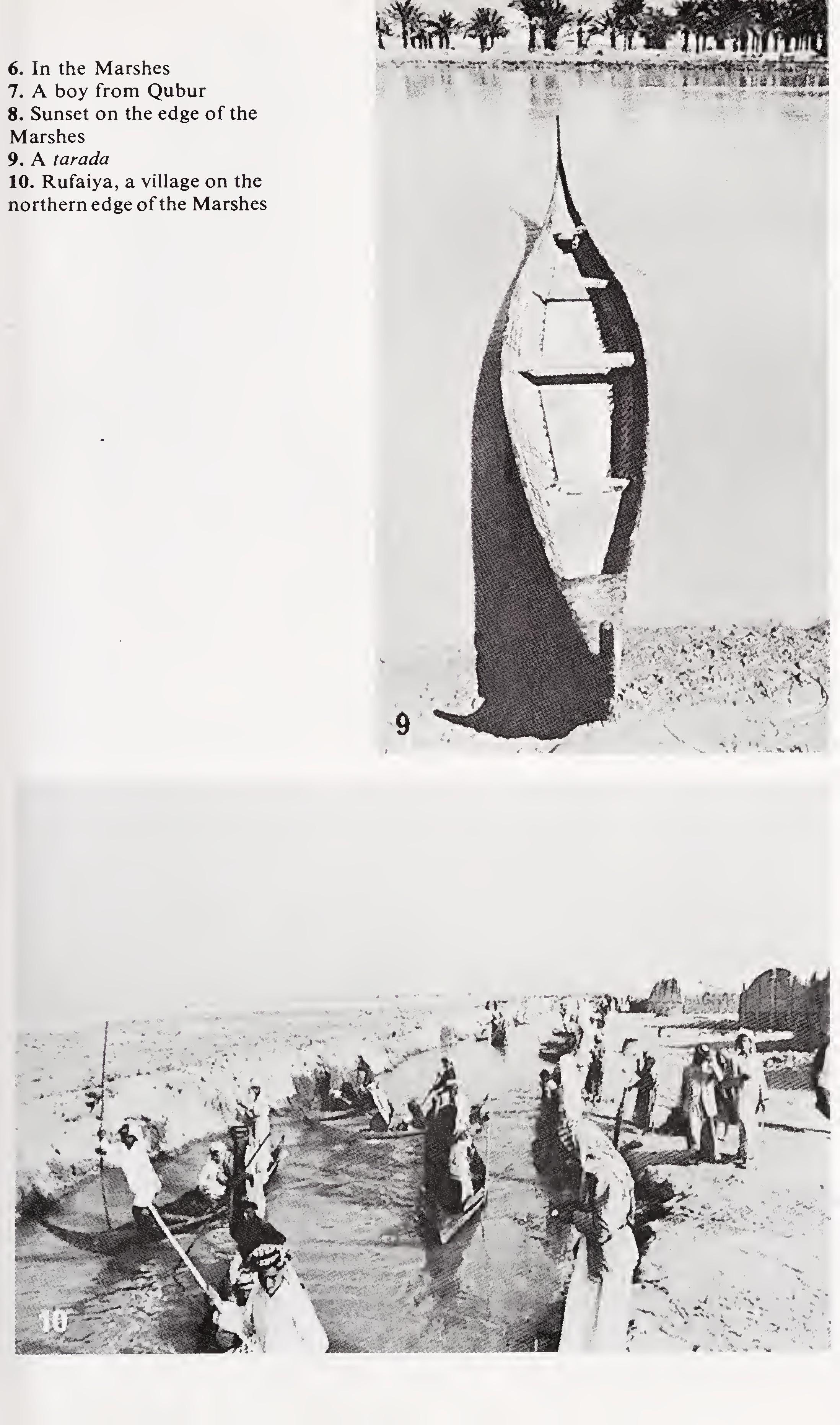 w-t-wilfred-thesiger-the-marsh-arabs-9.jpg
