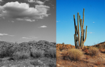 h-m-heather-m-surls-what-happened-when-i-tried-to-1.jpg